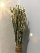 Load image into Gallery viewer, Natural Dried Wheat
