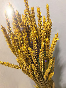 Sunshine Yellow Dried Wheat