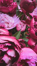 Load image into Gallery viewer, British Peony Weekly Bunches
